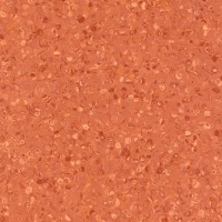 coral coral