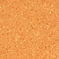 orange orange