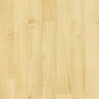 Holzdekor 251 Ahorn Holzdekor 251 Ahorn