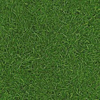 094 grass