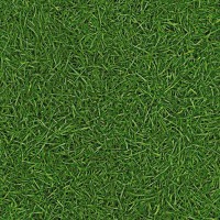 094 grass 094 grass