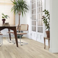 Stellata Oak 241