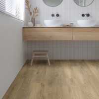 Stellata Oak 805