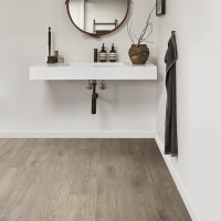Stellata Oak 822