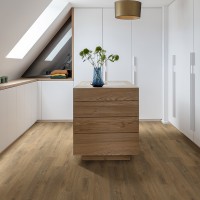 Stellata Oak 876