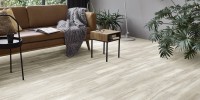 Texas Oak 204