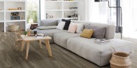 Texas Oak 895