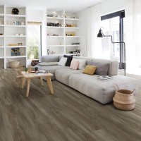 Texas Oak 895