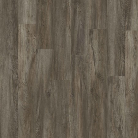 895 Taxas Oak 895 Taxas Oak
