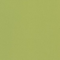525 limette (Auslauf) 525 limette (Auslauf)