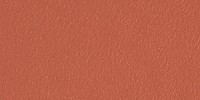 565 orange