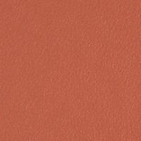 565 orange 565 orange